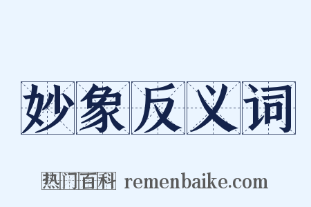 妙象反义词是什么意思的图片